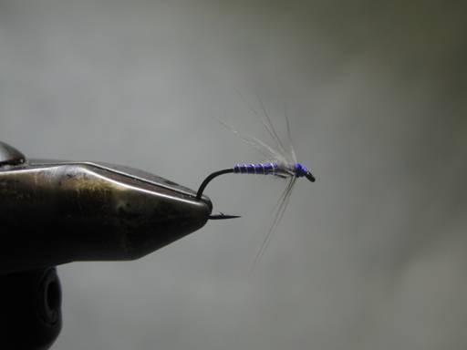 Fly of the week - Heinrich Schlarb - October 4, 2010