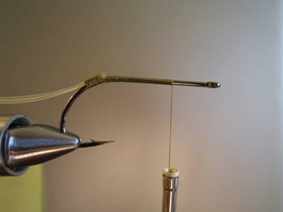 Fly of the week - October 18, 2010