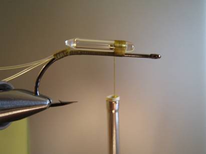 Fly of the week - October 18, 2010