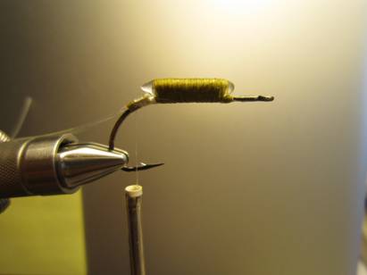 Fly of the week - October 18, 2010