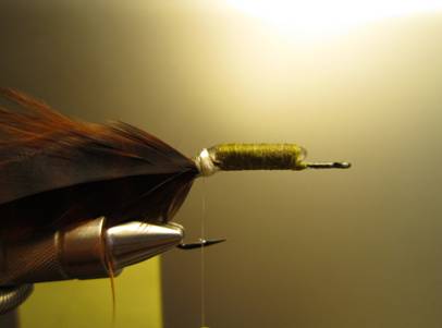 Fly of the week - October 18, 2010