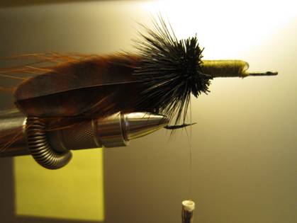 Fly of the week - October 18, 2010