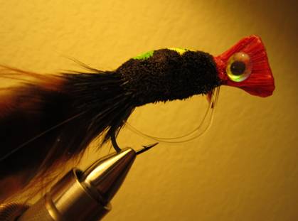 Fly of the week - October 18, 2010