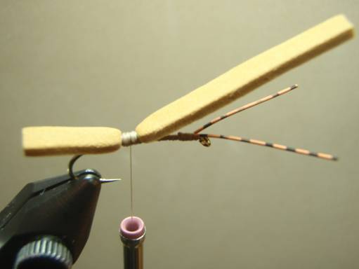 Fly of the Week - Crooked Fork Creek October Caddis - Oct 25, 2010