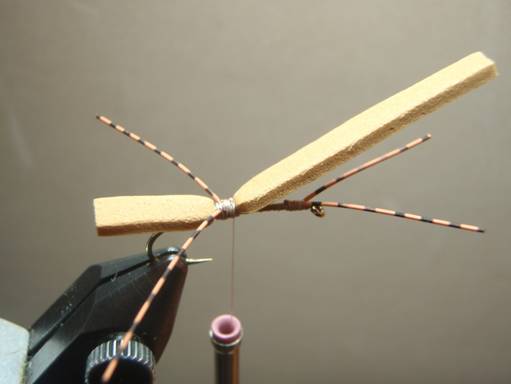 Fly of the Week - Crooked Fork Creek October Caddis - Oct 25, 2010