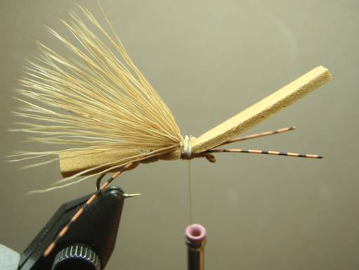 Fly of the Week - Crooked Fork Creek October Caddis - Oct 25, 2010