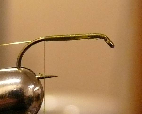 Fly of the Week - The Golden Vice FLy - Nov 1, 2010