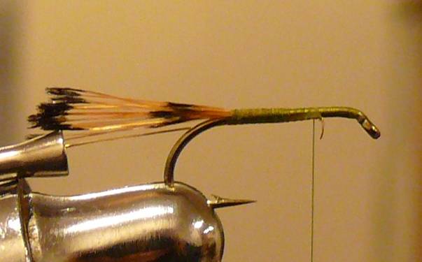 Fly of the Week - The Golden Vice FLy - Nov 1, 2010