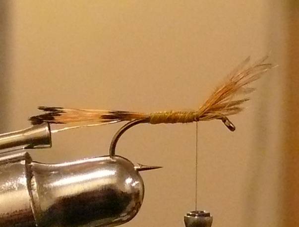 Fly of the Week - The Golden Vice FLy - Nov 1, 2010