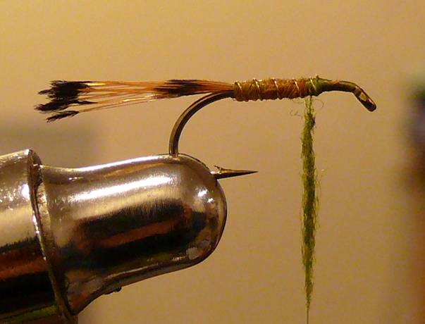 Fly of the Week - The Golden Vice FLy - Nov 1, 2010