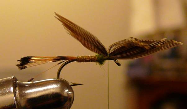 Fly of the Week - The Golden Vice FLy - Nov 1, 2010