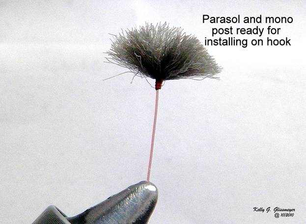 Parasol Emerger - 7.JPG