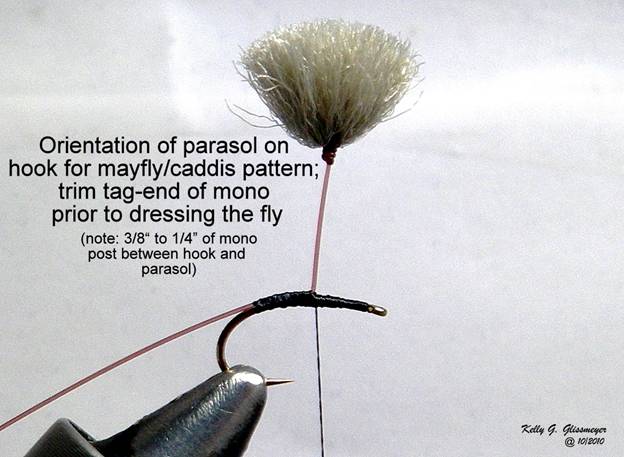 Parasol Emerger - 9.JPG