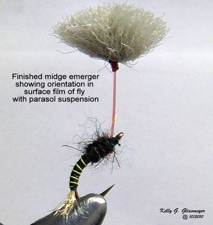 Parasol Emerger - 10.JPG