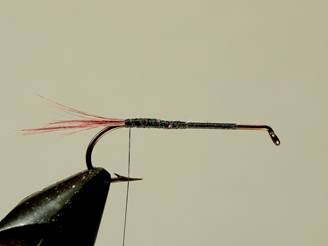 fotw-coopers hopper - November 15, 2010