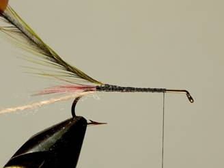 fotw-coopers hopper - November 15, 2010