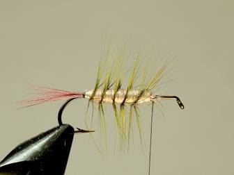 fotw-coopers hopper - November 15, 2010