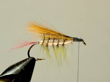 fotw-coopers hopper - November 15, 2010