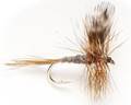 The Adams and the Alder - Fly of the week - November 22, 2010