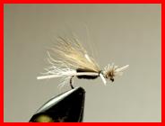 Madsen's Hatching Caddis - FOTW- December 13, 2010