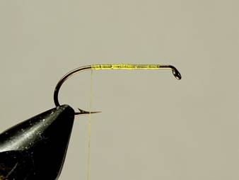 Madsen's Hatching Caddis - FOTW- December 13, 2010