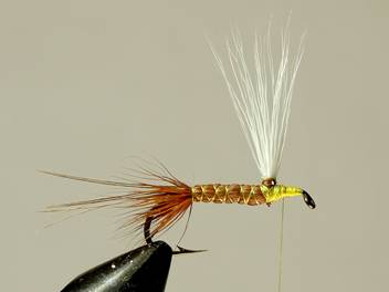 Madsen's Hatching Caddis - FOTW- December 13, 2010