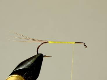 Fly of the week - Herriing Drake - December 20, 2010