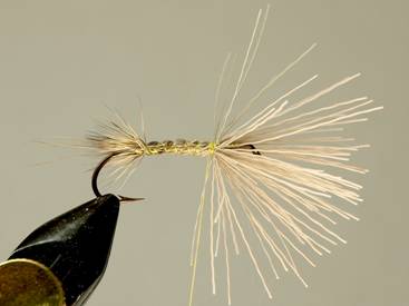 Fly of the week - Herriing Drake - December 20, 2010
