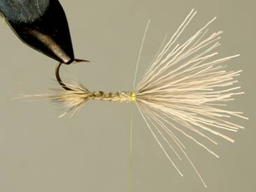 Fly of the week - Herriing Drake - December 20, 2010