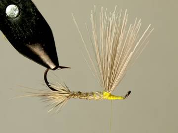 Fly of the week - Herriing Drake - December 20, 2010