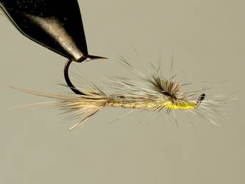 Fly of the week - Herriing Drake - December 20, 2010