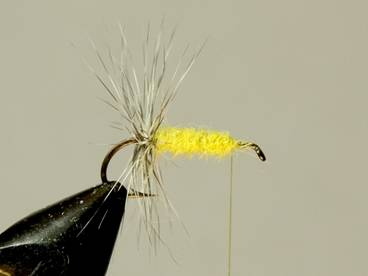FOTW - Michigan Stone
