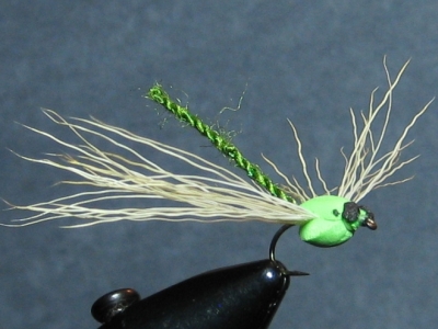 ADULT GREEN  DAMSEL - FOTW