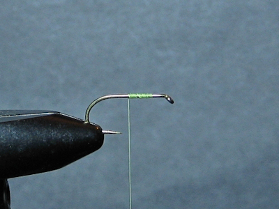 ADULT GREEN  DAMSEL - FOTW