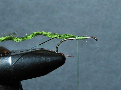 ADULT GREEN  DAMSEL - FOTW