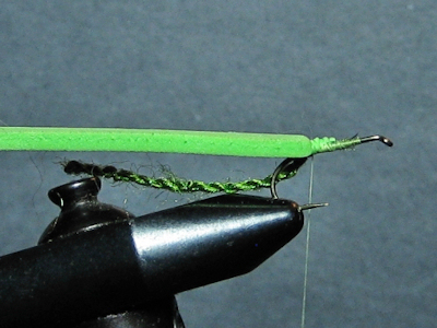 ADULT GREEN  DAMSEL - FOTW