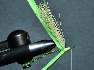 ADULT GREEN  DAMSEL - FOTW