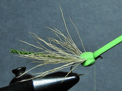 ADULT GREEN  DAMSEL - FOTW