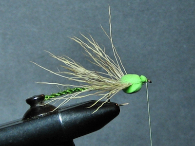ADULT GREEN  DAMSEL - FOTW