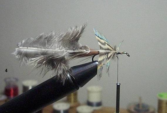 FOTW - The Sparrow - January 24, 2011