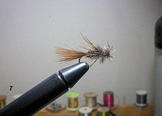 FOTW - The Sparrow - January 24, 2011FOTW - The Sparrow - January 24, 2011