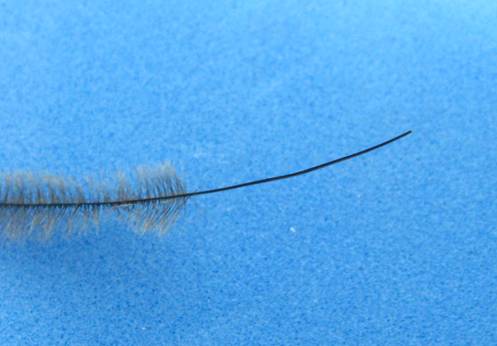The DJG Midge - Fly of the week - January 31, 2011