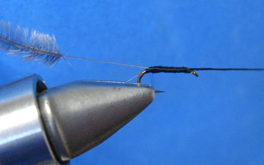 The DJG Midge - Fly of the week - January 31, 2011