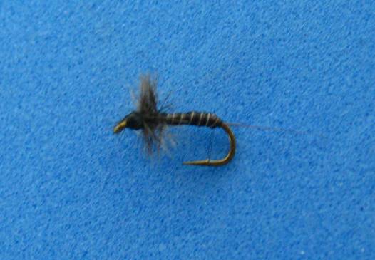 The DJG Midge - Fly of the week - January 31, 2011