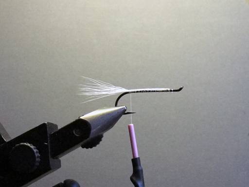 Fly of the week - Perfect Zonker - February 7, 2011