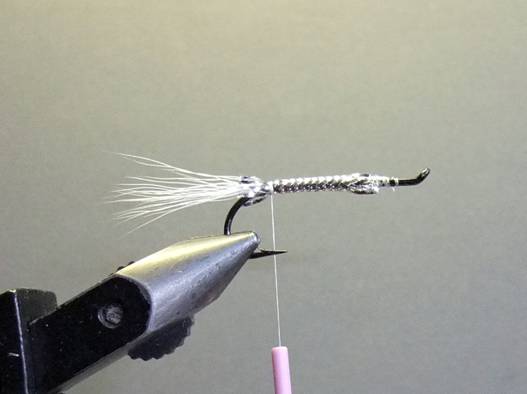 Fly of the week - Perfect Zonker - February 7, 2011