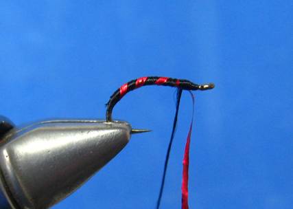 Tinsel Caddis - FOTW - Feb 14, 2011