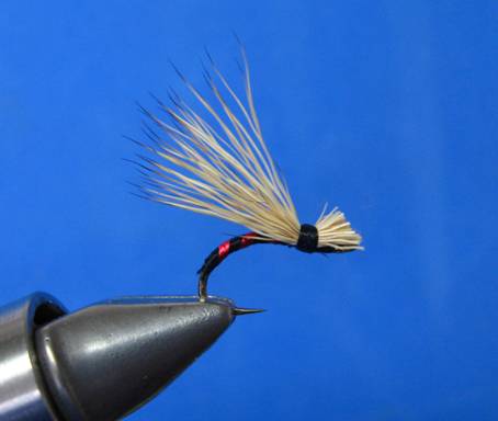 Tinsel Caddis - FOTW - Feb 14, 2011
