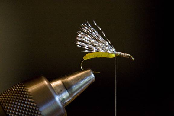 https://i1187.photobucket.com/albums/z388/davkrat/Fly%20Fishing/Flies-6930.jpg