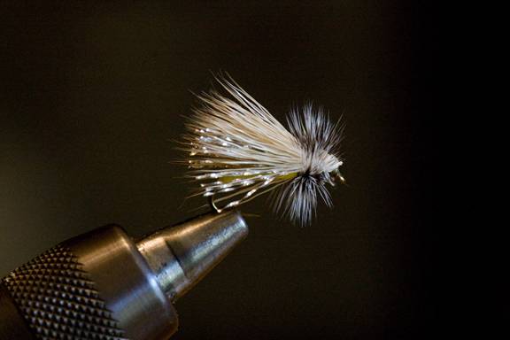 https://i1187.photobucket.com/albums/z388/davkrat/Fly%20Fishing/Flies-6934.jpg